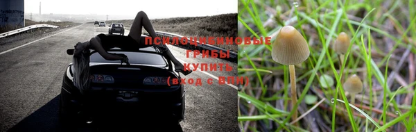 гашишное масло Абаза