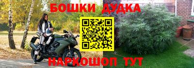 apvp Краснознаменск