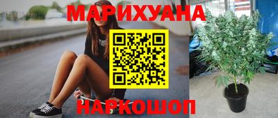 apvp Краснознаменск