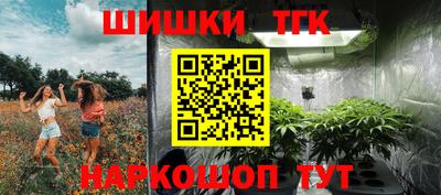 apvp Краснознаменск