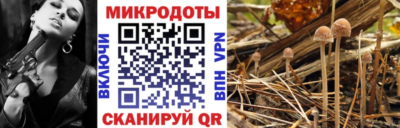 Псилоцибиновые грибы мухоморы  blacksprut зеркало  Кохма 