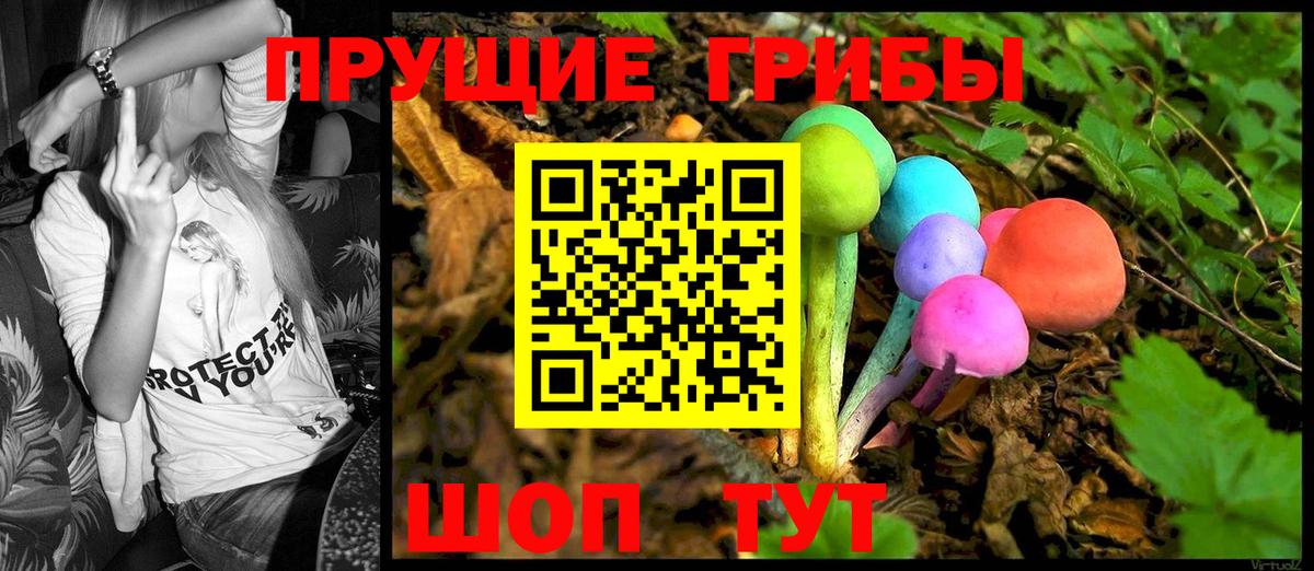 Кохма  Галлюциногенные грибы Cubensis  Вход с VPN 