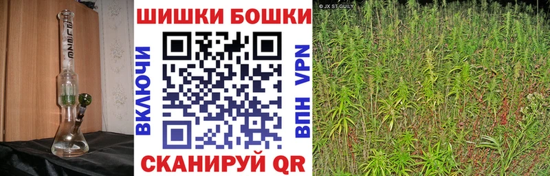 Бошки марихуана план  закладки  Кохма 